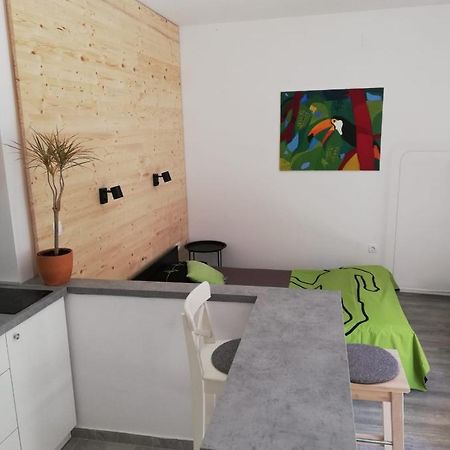 サモボルStudio Apartman Fleissアパートメント エクステリア 写真