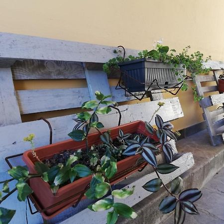サモボルStudio Apartman Fleissアパートメント エクステリア 写真