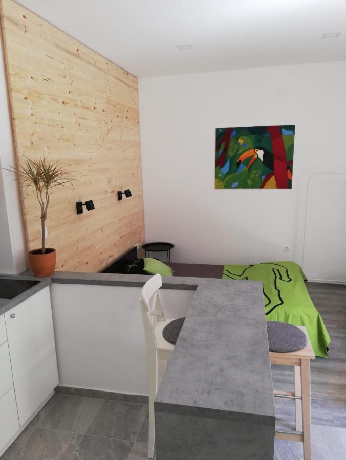 サモボルStudio Apartman Fleissアパートメント エクステリア 写真